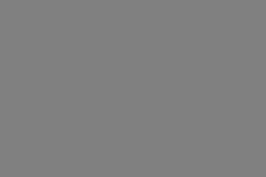 IMG_7731-min-scaled
